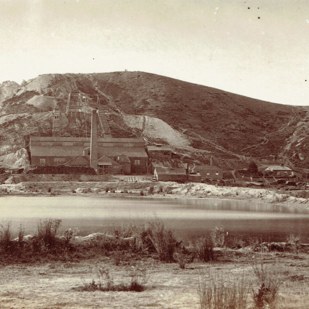 Image of land Mining history research Bendigo historic researcher local Derek Reid of Central Victoria